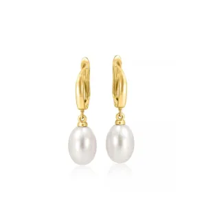 14K Yellow Gold White Pearl Oval Drop Earrings