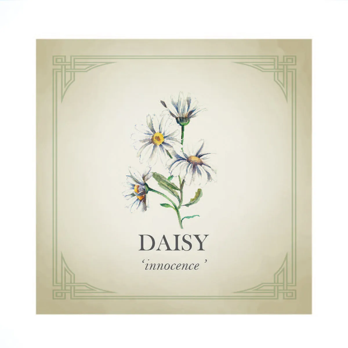 Daisy Flower Silver Charm