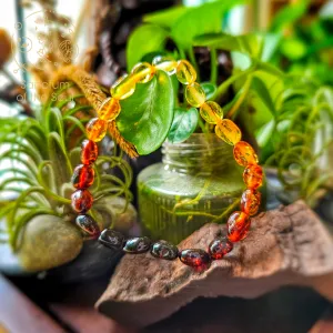 Ombre Baltic Amber Bracelet